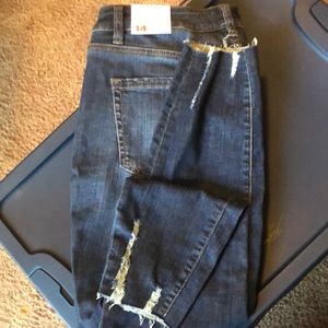 Lane Bryant Jeans